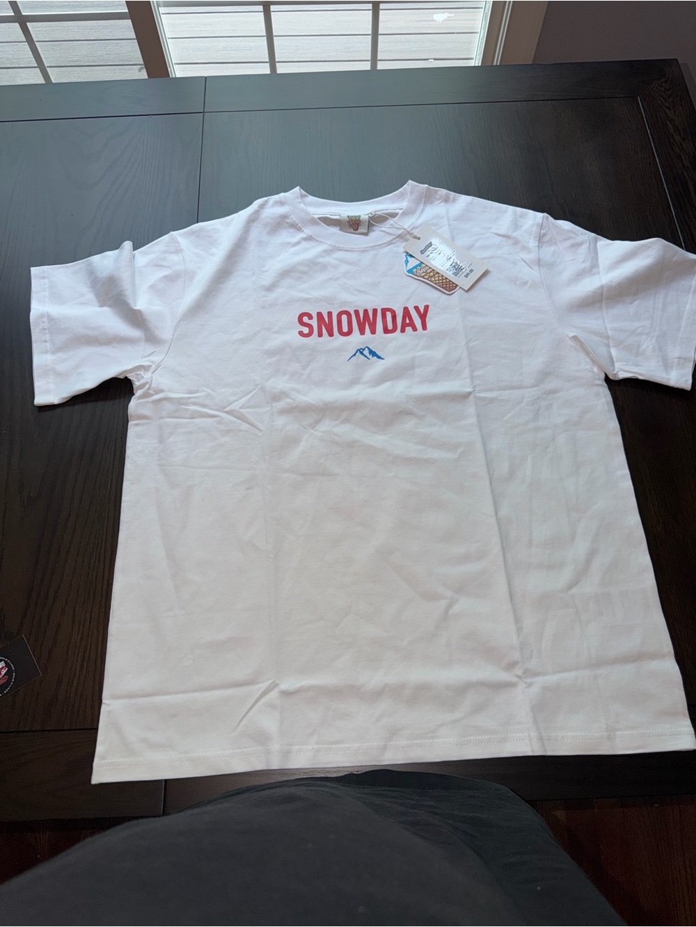 Size Large SnowDay T-Shirt 100 Days… Until Snow Days NWT Oversized Tee White